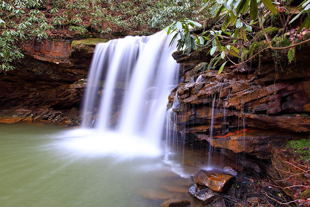 Laurel, VA - File:Spring-waterfall-mountain-laurel - Virginia - ForestWander.jpg -  Wikimedia